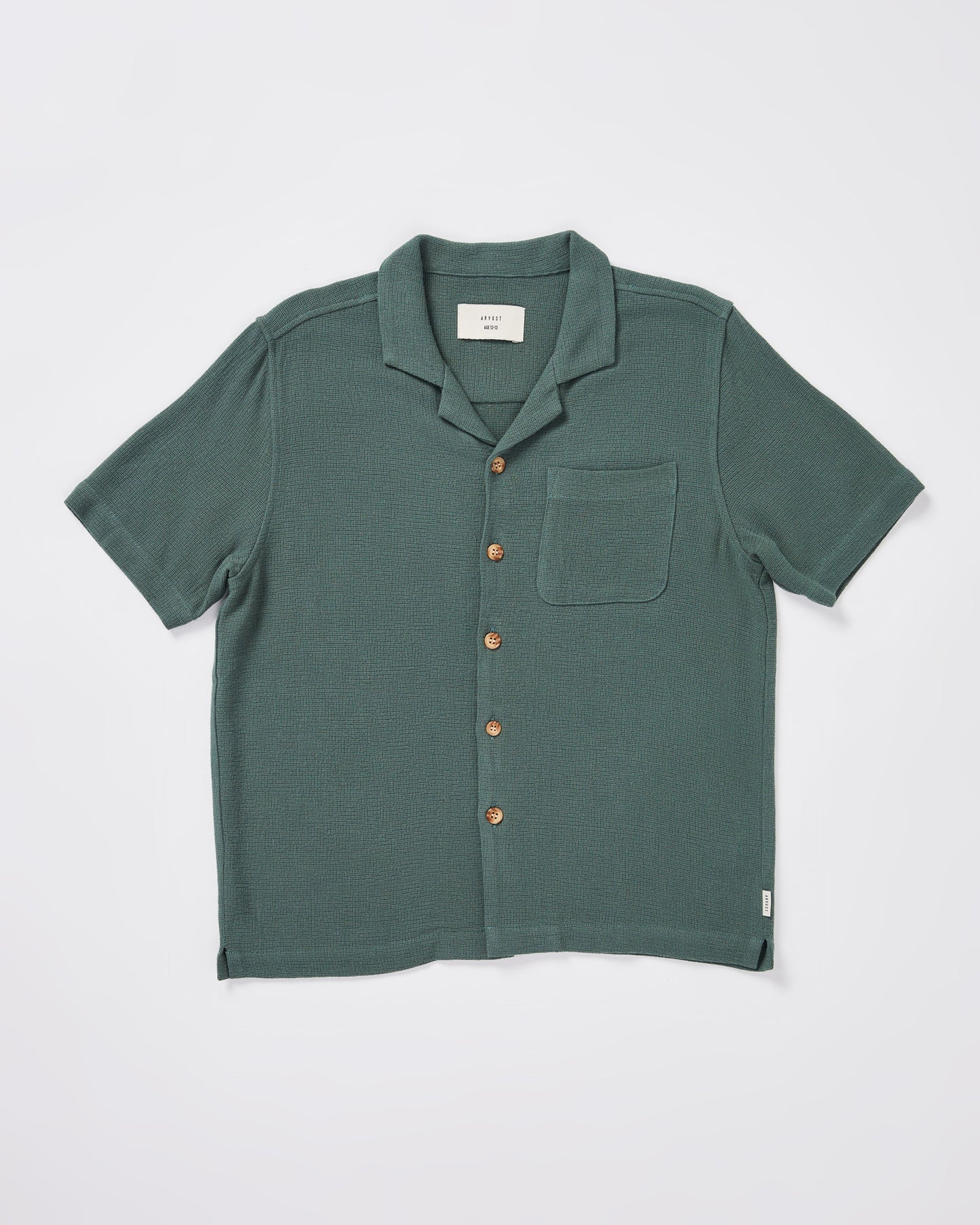 Teen Boys Textured Button Up Shirt in Forest