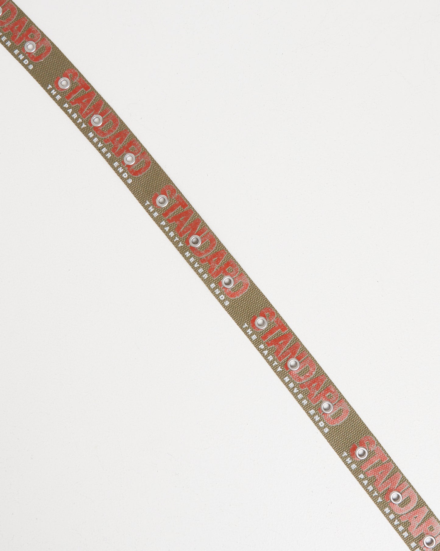 Endless Belt