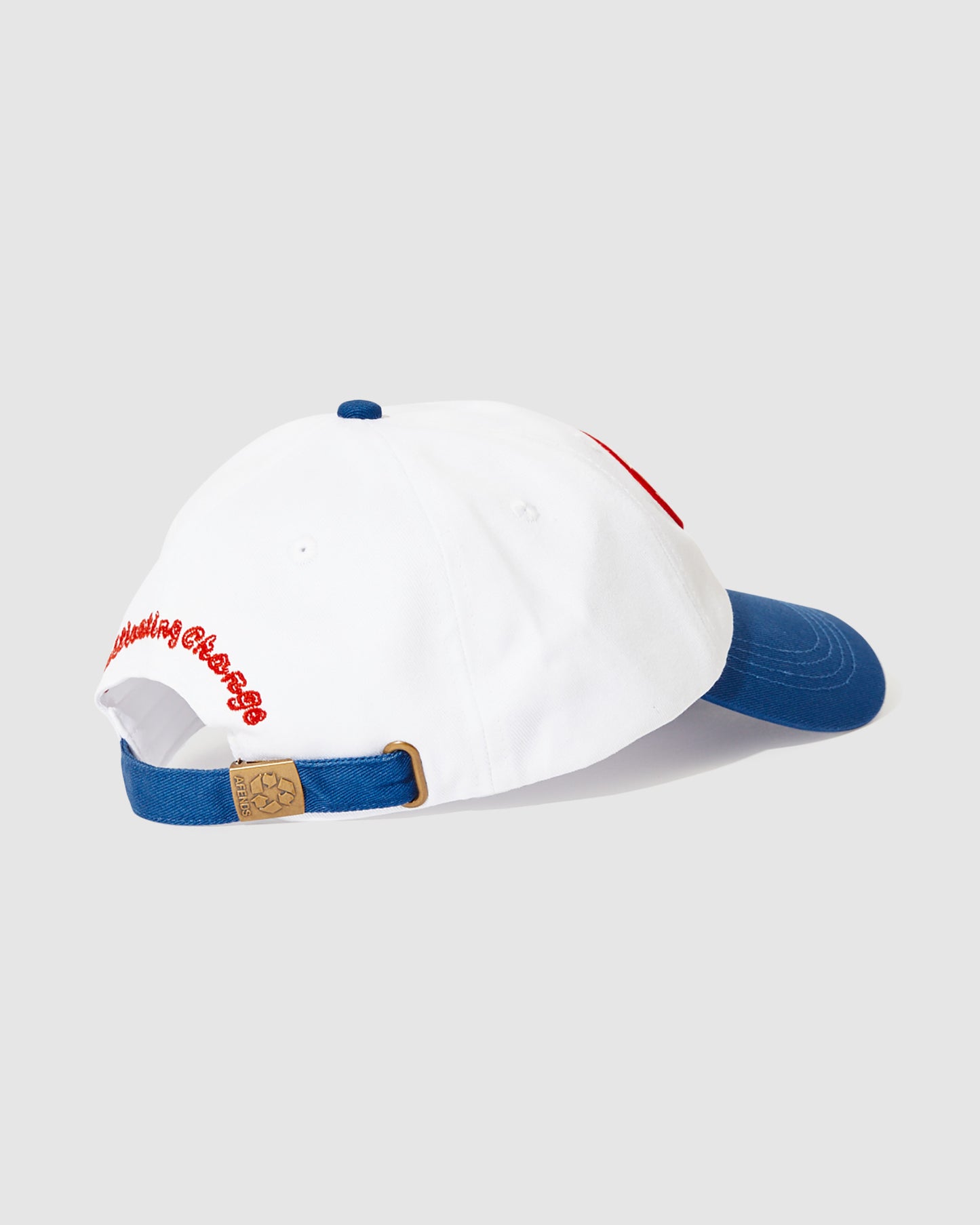 Frogga Six Panel Cap