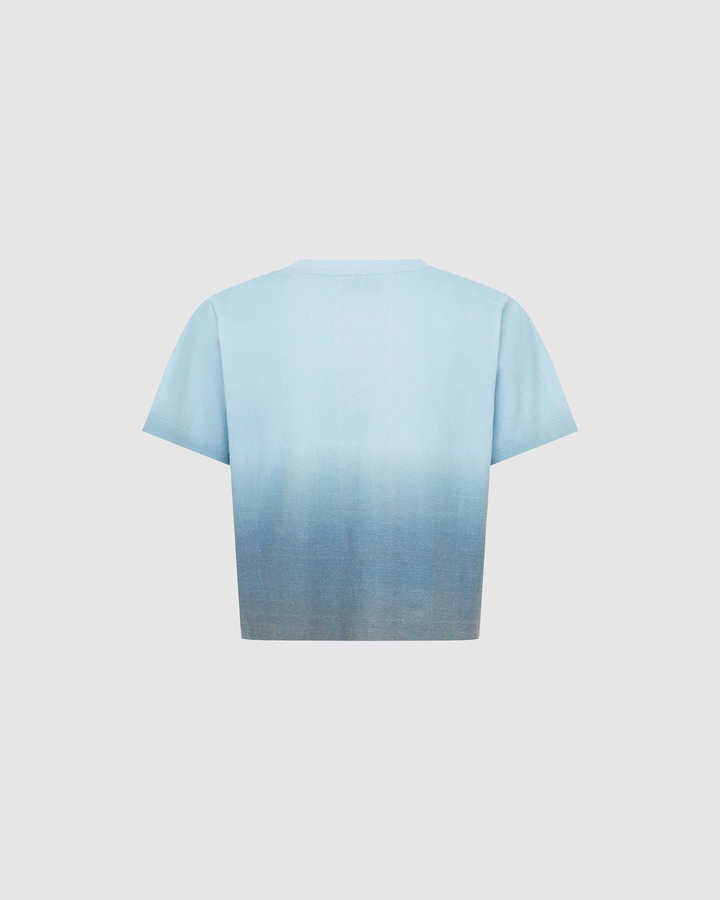 The Baby T-Shirt