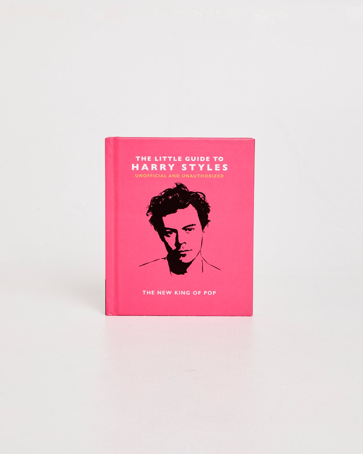 Little Guide To Harry Styles Book