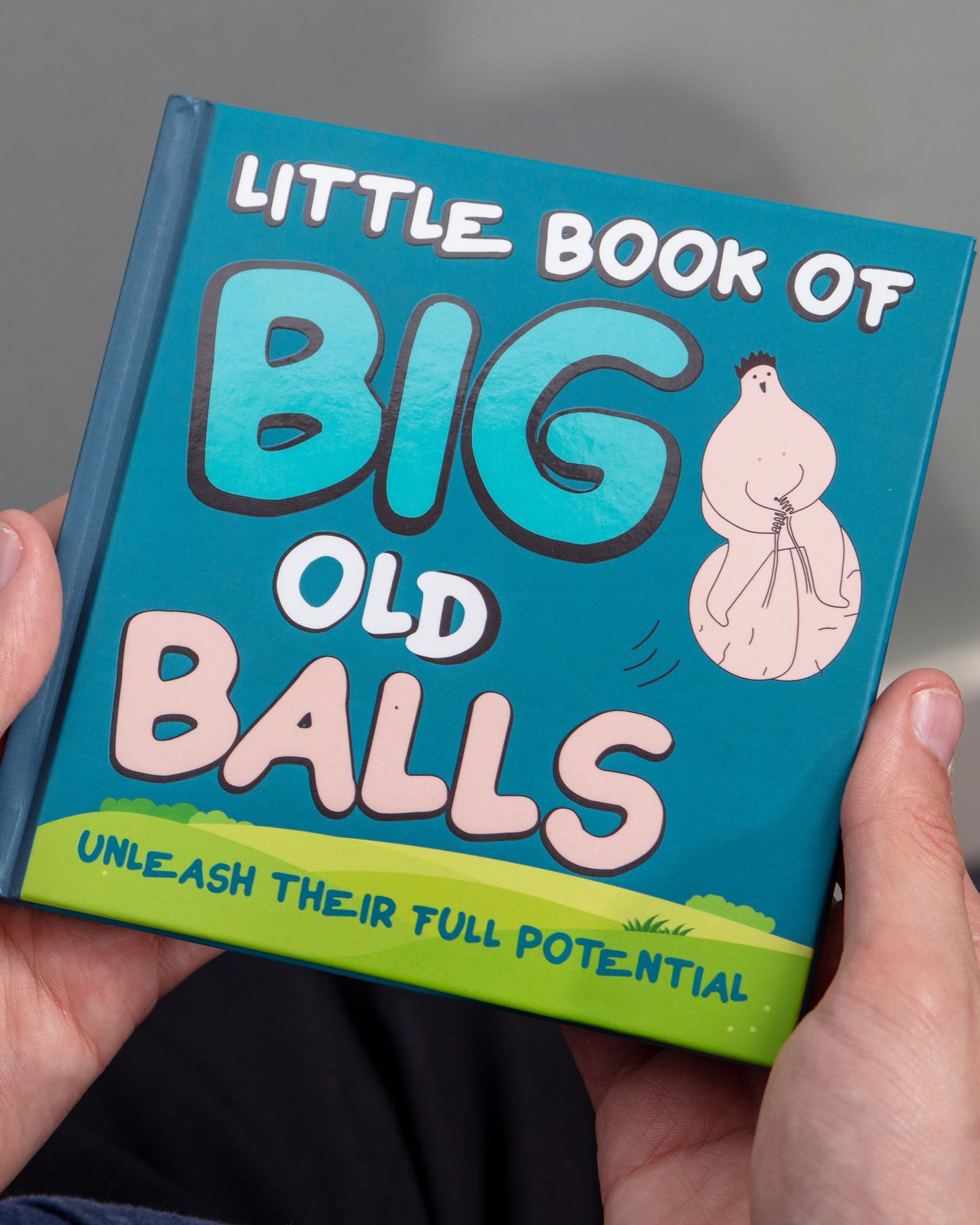 Little Book of Big Balls