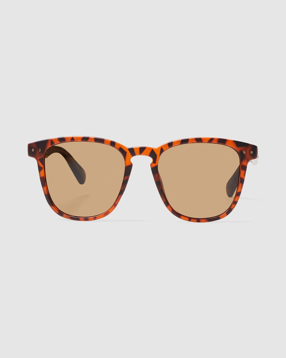 Syd Sunglasses Tort Brown