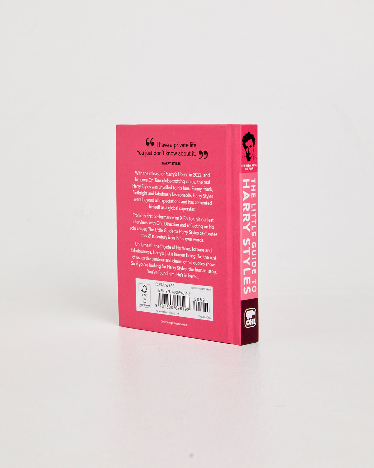 Little Guide To Harry Styles Book ASST