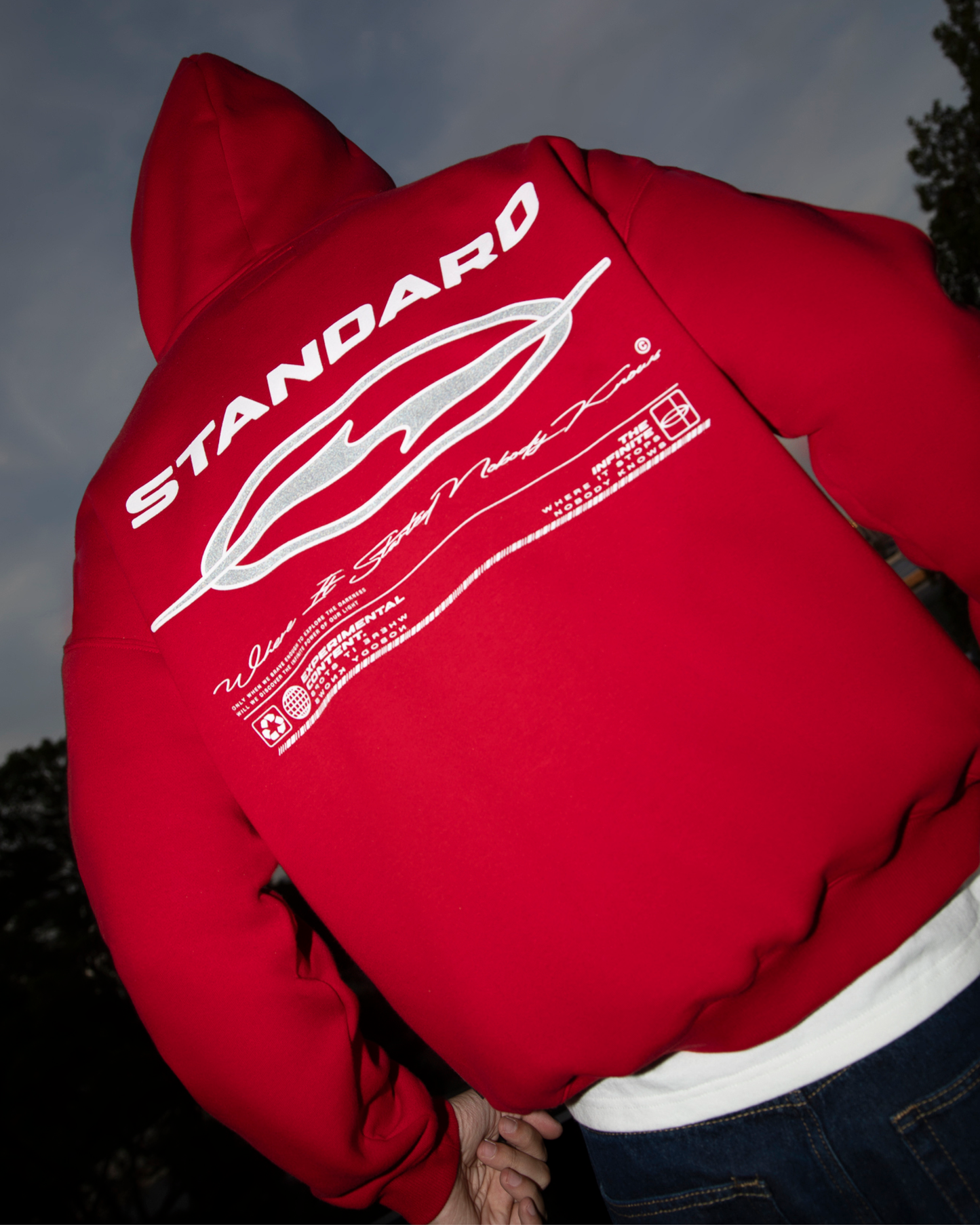 Voltron Hoodie