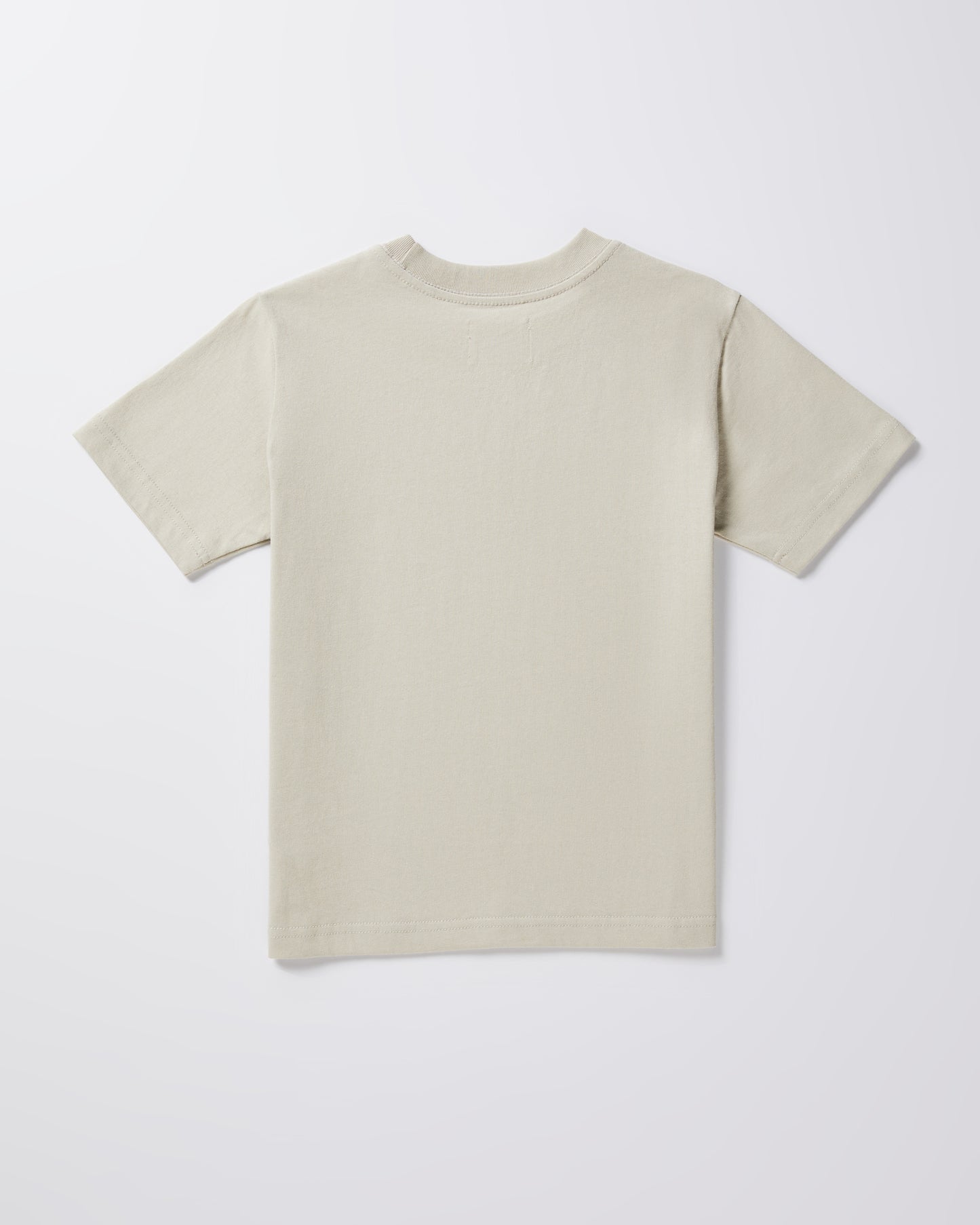 Teen Boys OG Skate Short Sleeve T-Shirt in Stone