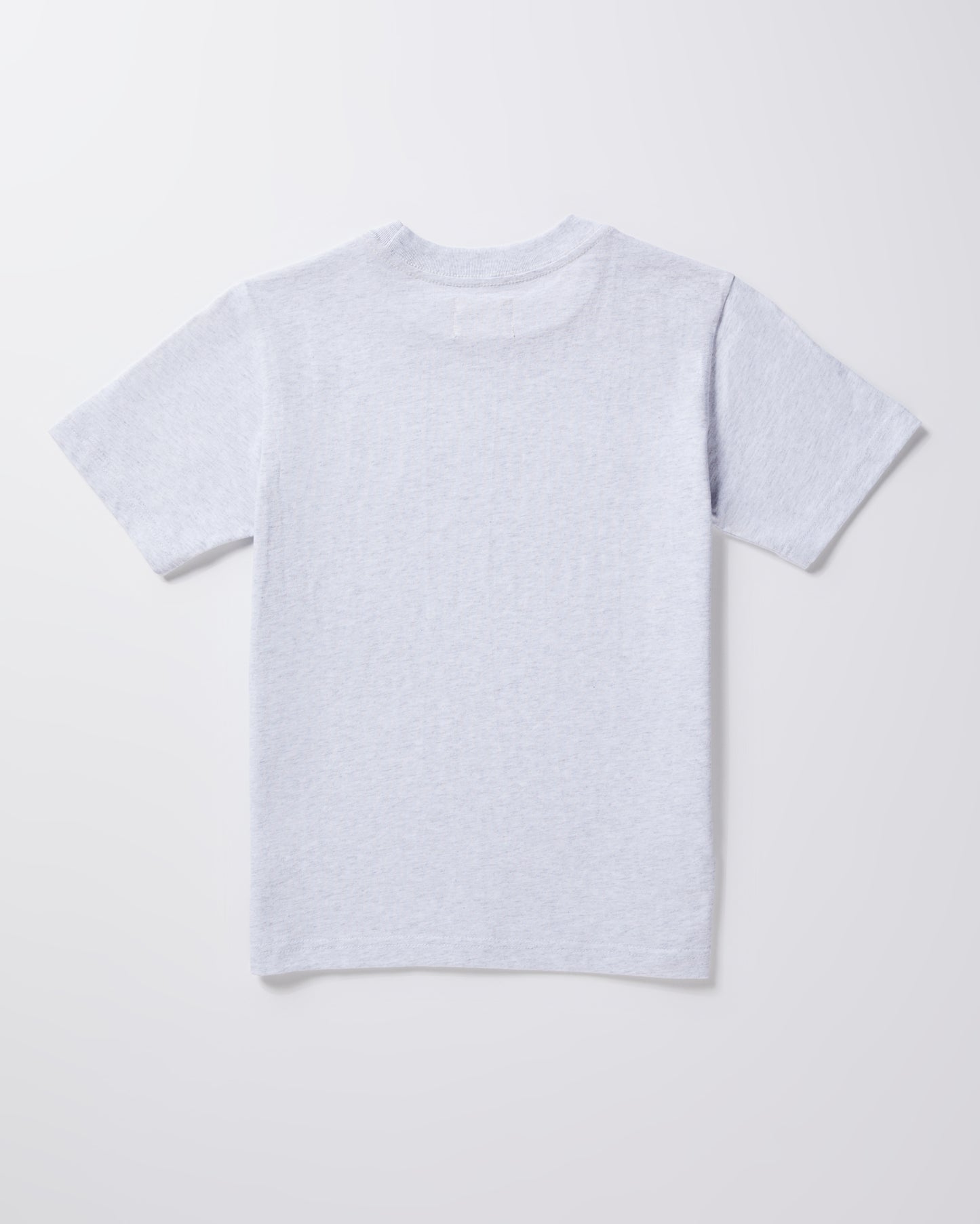 Teen Boys OG Skate Short Sleeve T-Shirt in Frost Marle