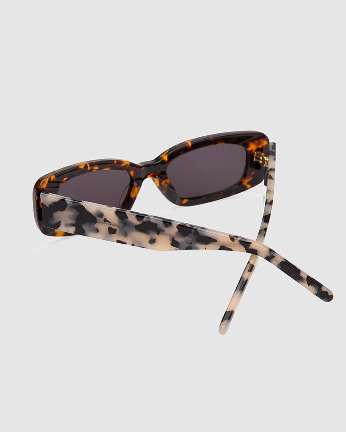 Norm Sunglasses Wildcats Tort TORT