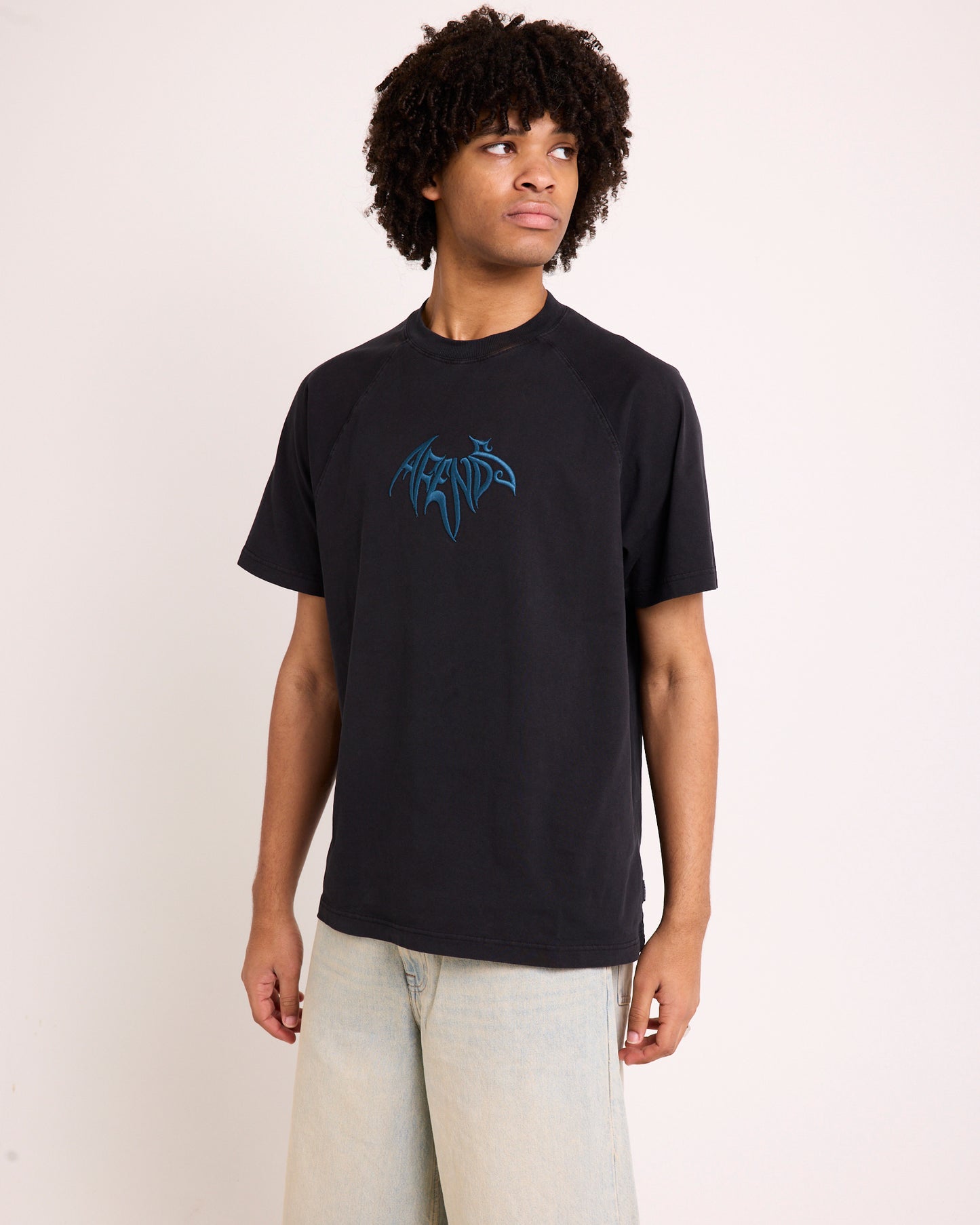 Bats Raglan Boxy T-Shirt